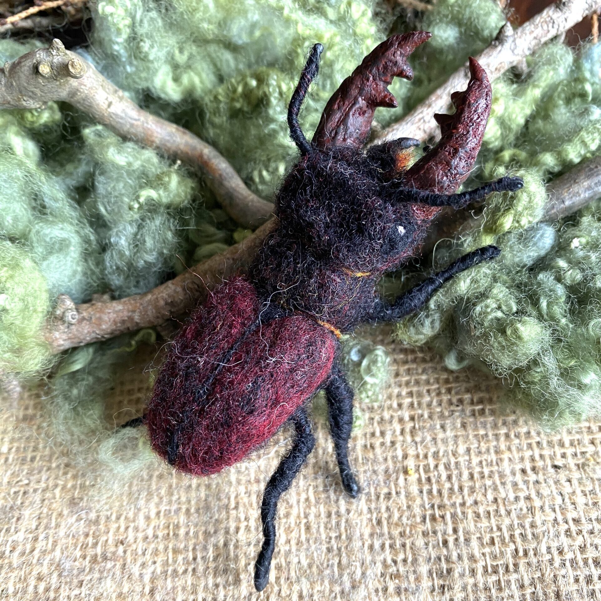 Hirschkäfer