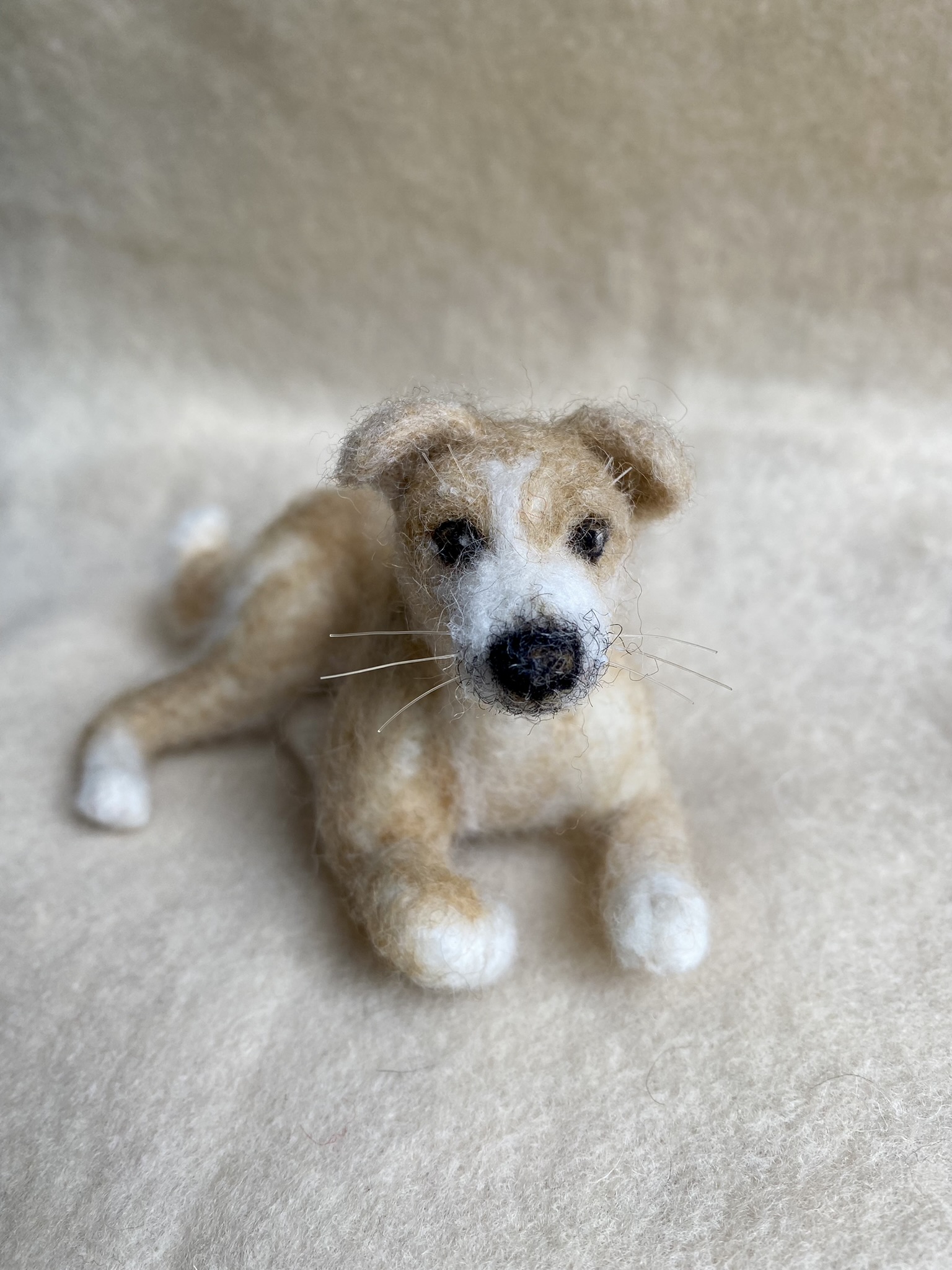 Handgefilzte Hundfigur frontal, mit weiss-braunem Fell