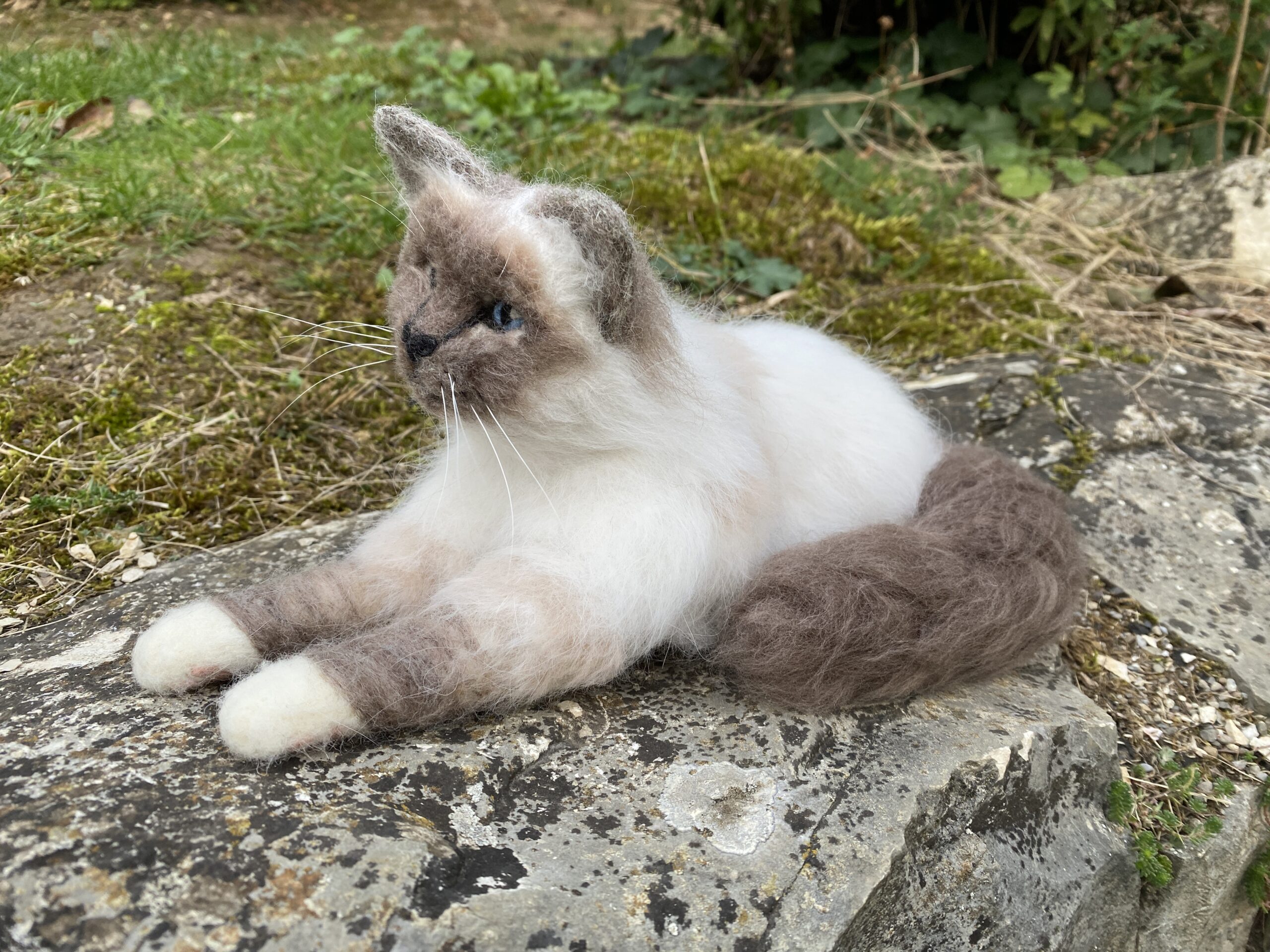 Katzen-Portrait personalisiert – Bild 2