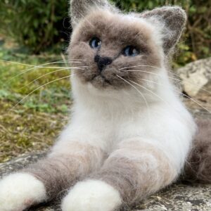 Katzen-Portrait personalisiert