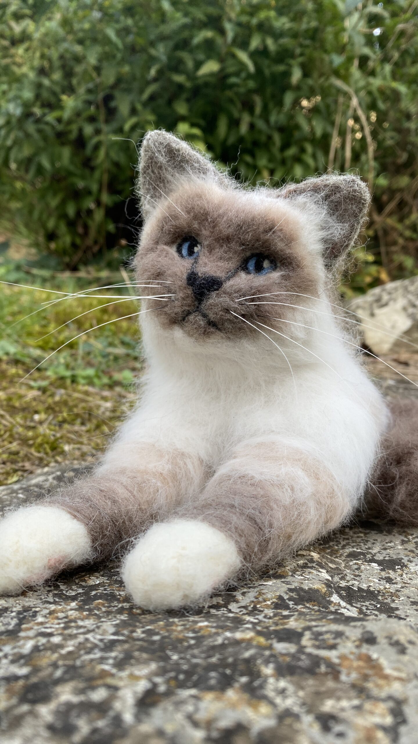 Katzen-Portrait personalisiert