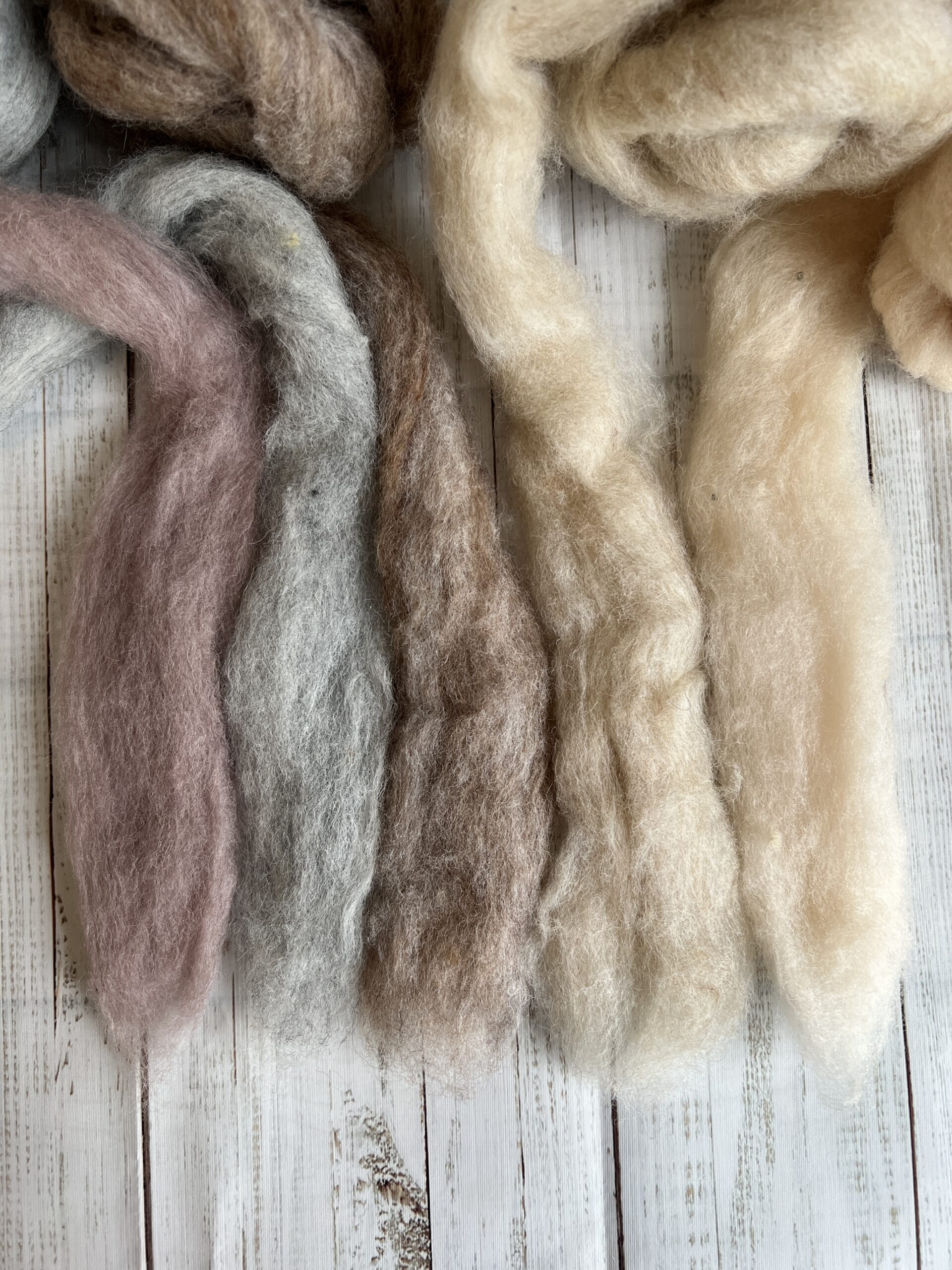 Corriedale kardiert Soft Collection – Bild 3