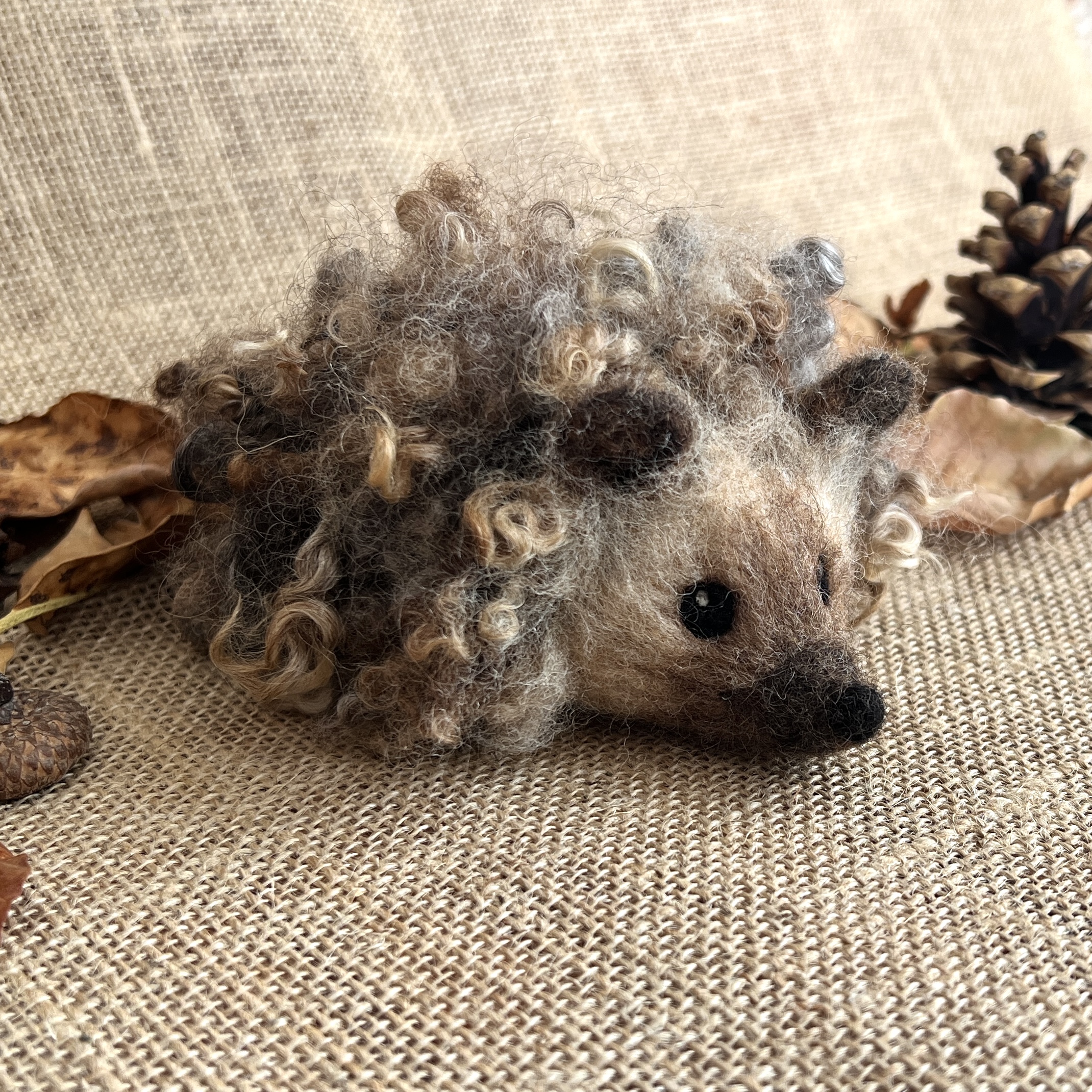 Filzkurs: Kuscheliger Igel (15. November 26 | 14:00-16:30)